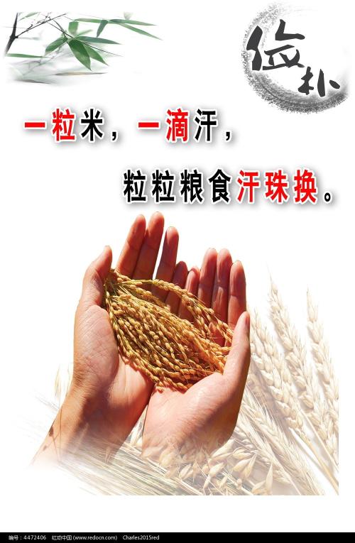 科森扎音乐学院设计学位证